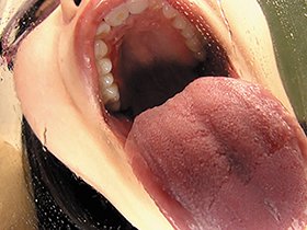 バーチャル口臭・ベロ臭・唾液臭ミックス体感痰壺激臭レズ　サンプル画像03